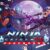 Ninja Gaiden Ragebound